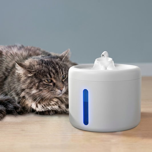 Hush Cat Water Fountain — 2L, Ultra-Quiet & Easy to Clean