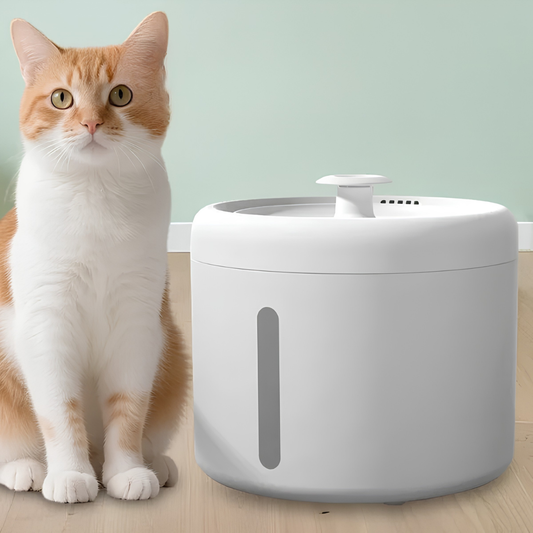 Hush Cat Water Fountain — 2L, Ultra-Quiet & Easy to Clean